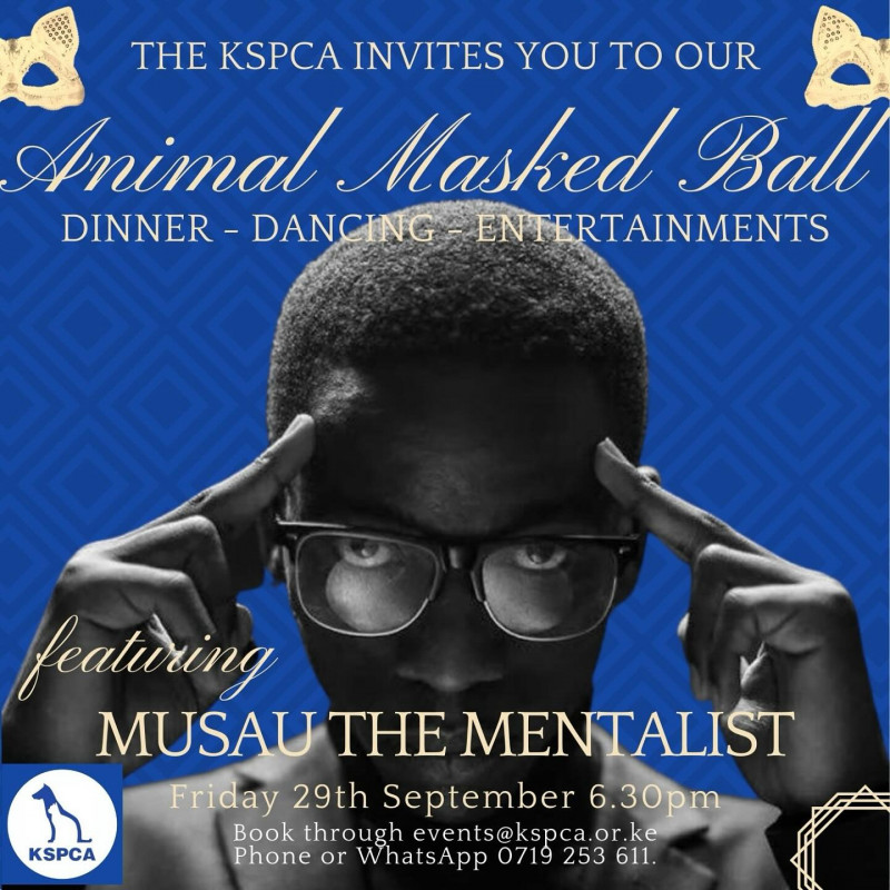 Animal Masked Ball Matteos Ngong Road