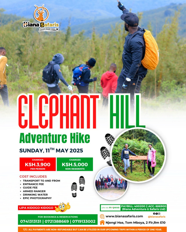 11-11 Elephant Hill Adventure Hike