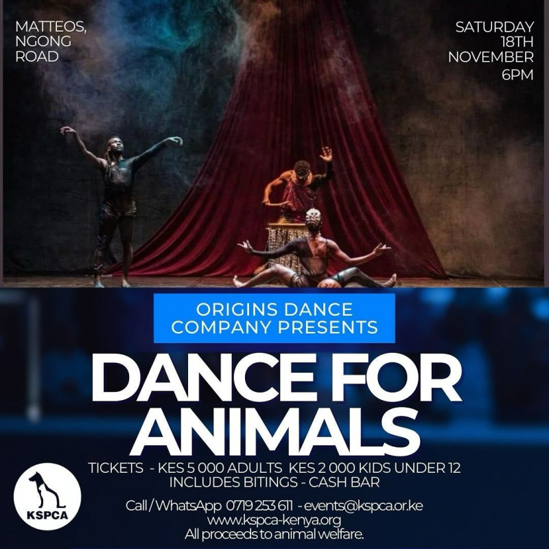 Origins Dance Company Presents Dance for Animals Matteos Ngong Road