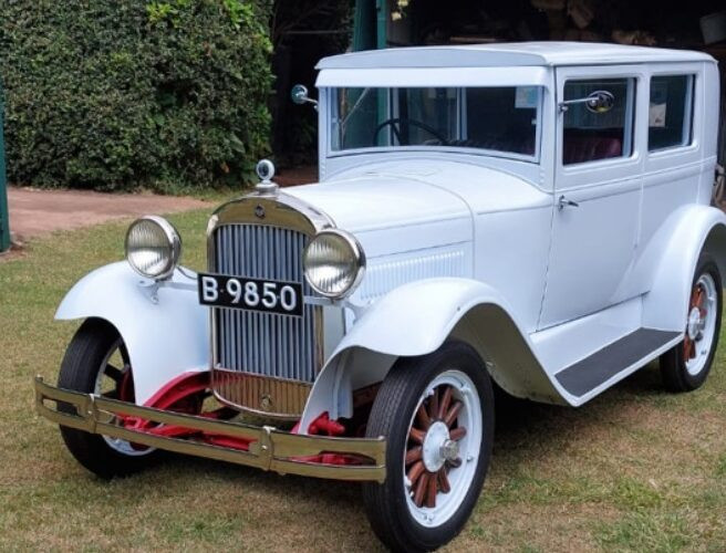 09-28 Roaring Into Elegance at Racecourse