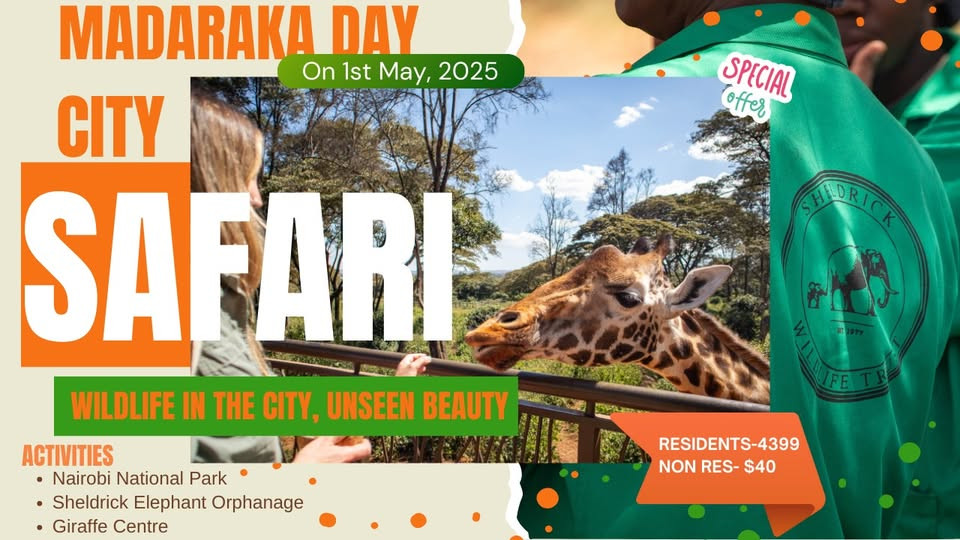 #MadarakaDayCitySafari: Discover Nairobi's Wild Side!