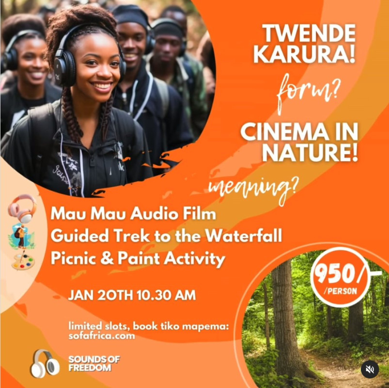 Twende Karura Form Cinema In Nature Karura Forest Nairobi