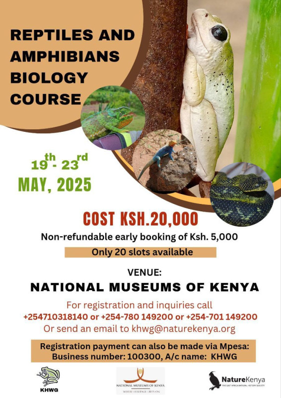 19-23 Reptiles & Amphibians Biology Course Dive into Herpetology!