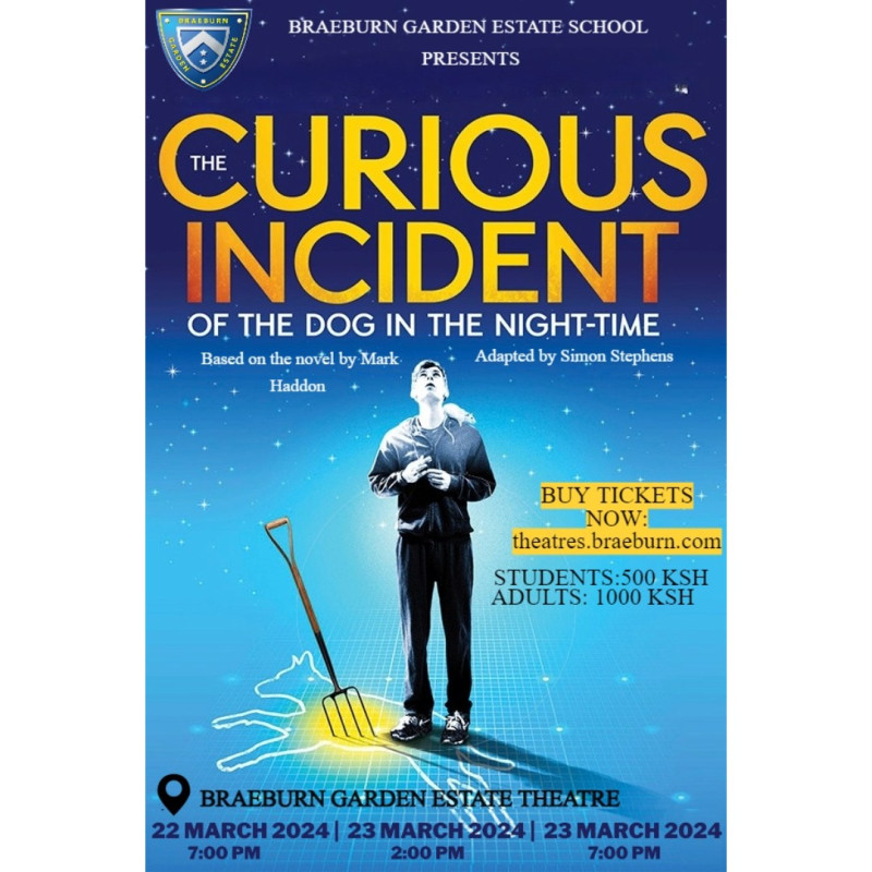 The Curious Incident of The Dog in The Night Time Braeburn Theatre Gitanga Road