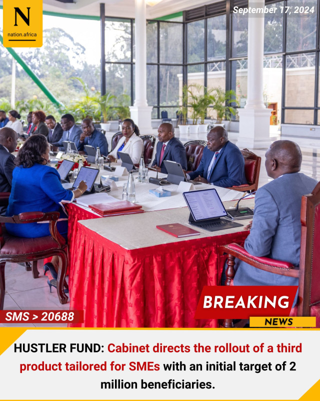 Hustler Fund: Cabinet Directs The Rollout Of A Third Product Tailored For SMEs